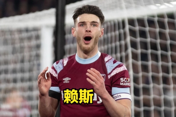 賴斯屬于什么是類型的后腰？